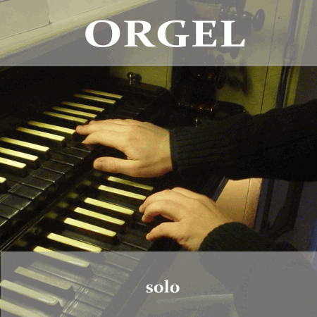 Repertoire Gottfried Thore Drywa, Orgel solo